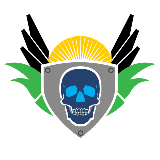 DERPIXELPANDA's emblem