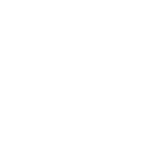 Bess23rus's emblem