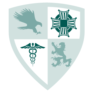 marioM977's emblem
