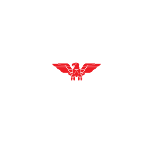 BlackShield12's emblem