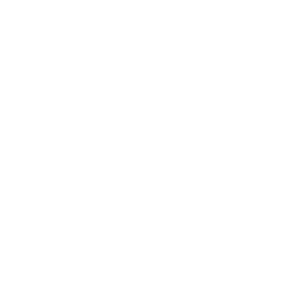 95so92's emblem