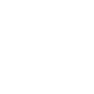 DarkThunder2209's emblem