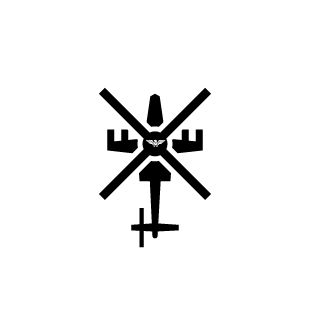 CaptainnFlash's emblem