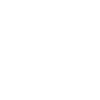 Ickysanbr's emblem