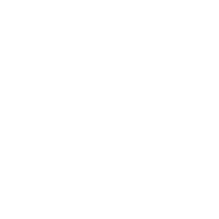 Ch5u's emblem