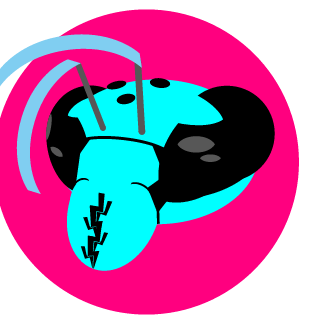 RiocynnTheWasp's emblem