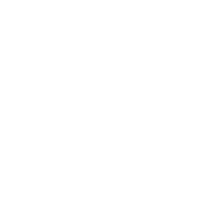 NickNamov_exe's emblem