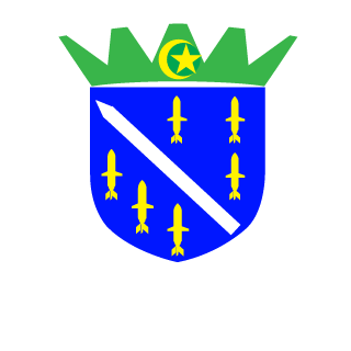 ttvESSO616's emblem