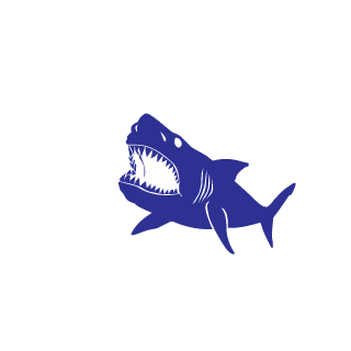 lennyboy06's emblem
