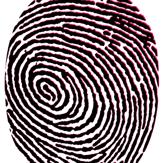 Prismality's emblem