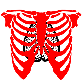 SignatureStroker's emblem