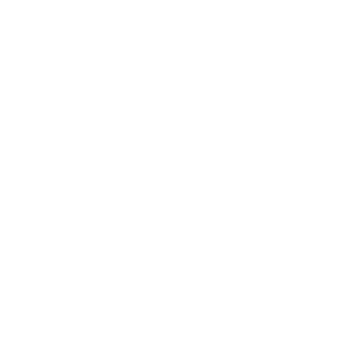 StenVP's emblem