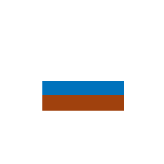 D1aR4ik's emblem