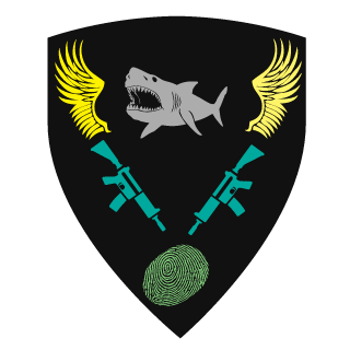 CtrlPewter's emblem