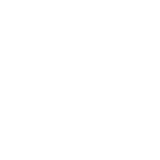 FelipeMal007's emblem
