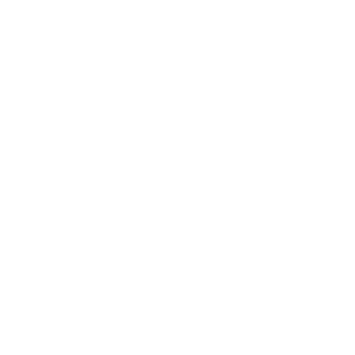 BrianMash's emblem