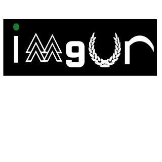 Betadragon44's emblem
