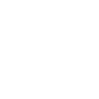 ---111_SANTOS's emblem
