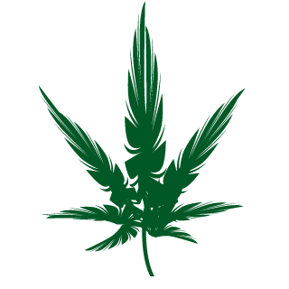 Xezinhu's emblem