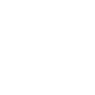 SuddeN-DeatH96's emblem