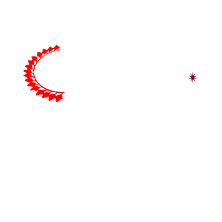 PywOo_CS's emblem