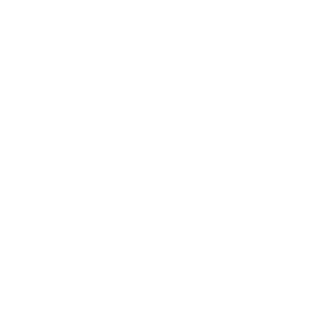 Silent_Pacifier's emblem