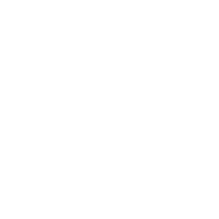 DiscoDuck102's emblem