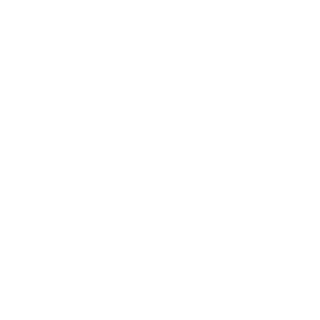Dooly312's emblem