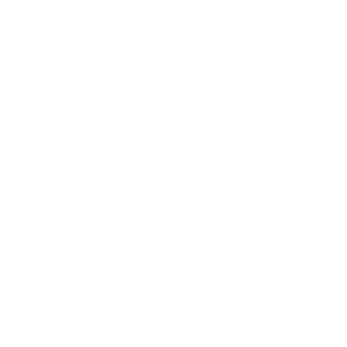edinho0101's emblem