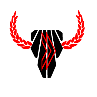 FlamuZs's emblem