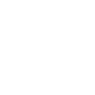 Lob41's emblem