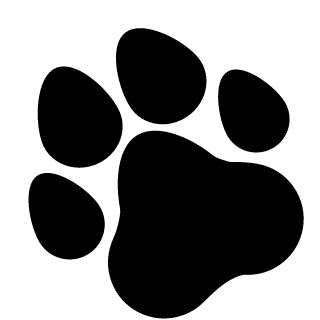 1337Cammy's emblem