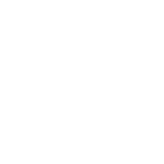 SelwynReyner's emblem