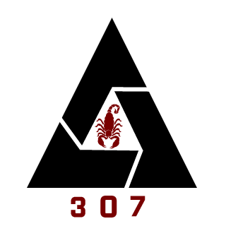 IIIwaseem-307III's emblem