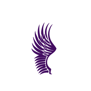 And Steve's emblem