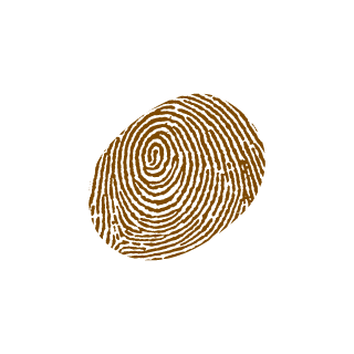 gareminati's emblem