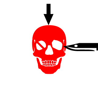 A8XJ's emblem