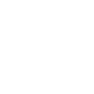 SelifanAV's emblem
