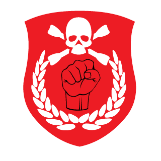 laseczek29's emblem