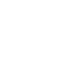 Eg0rychev's emblem