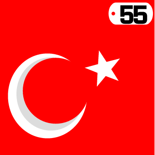 55MST55's emblem