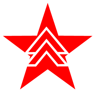 Bryguy9991's emblem