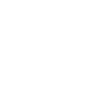 x5-00's emblem