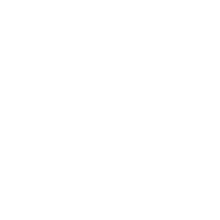 sunnv29's emblem