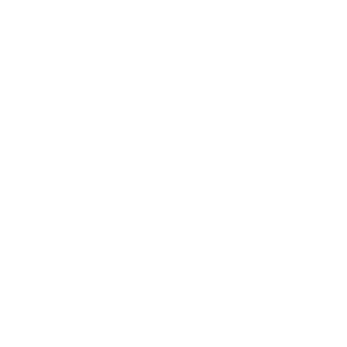 henriqueplech's emblem
