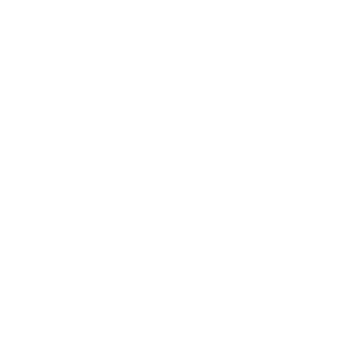 disTLT's emblem