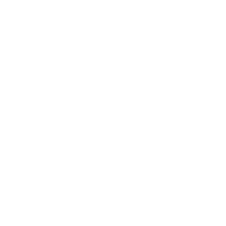 evoliiX's emblem