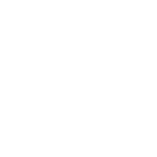 1_InTeL's emblem