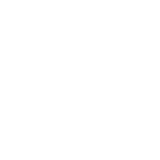 ZD4112's emblem