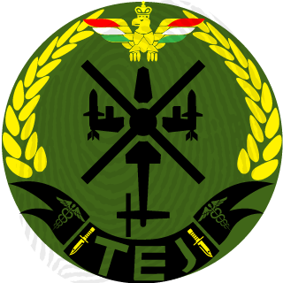 TEJ's emblem